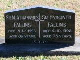 image of grave number 667831